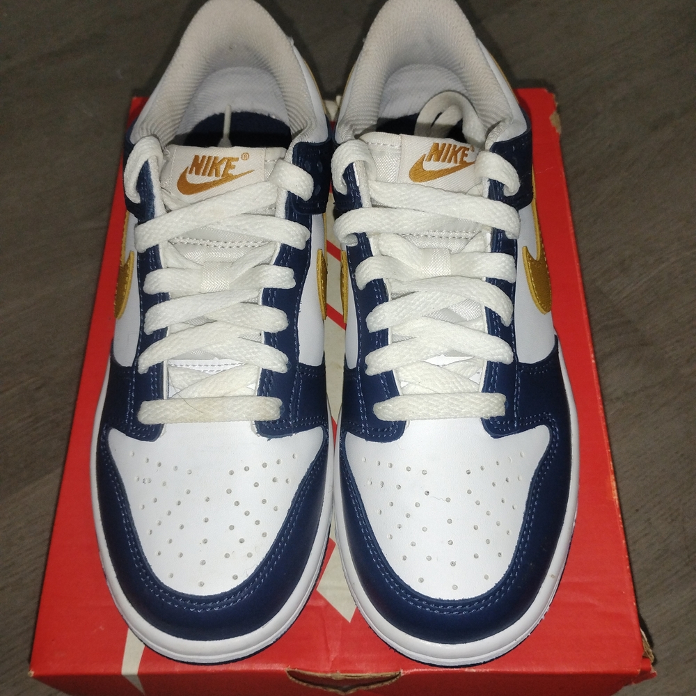 Kids NIKE low tops - White, Blue, and Gold
